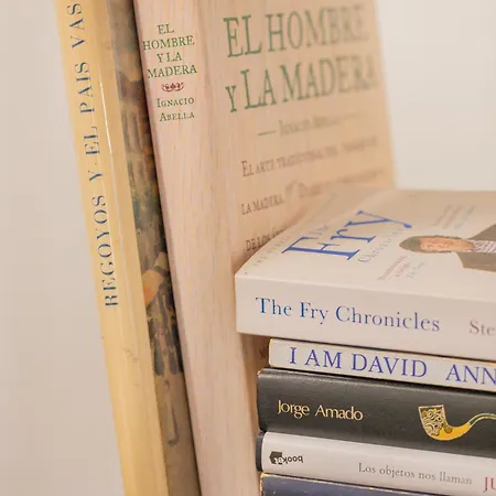 Apartman Taosa - Baskeyrentals Zumaia